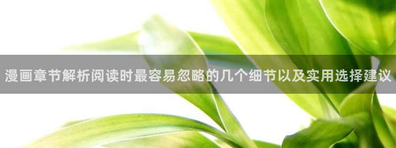 歪歪漫画网站导航：漫画章节解析阅读时最容易忽略的几个细节以及实用选择建议