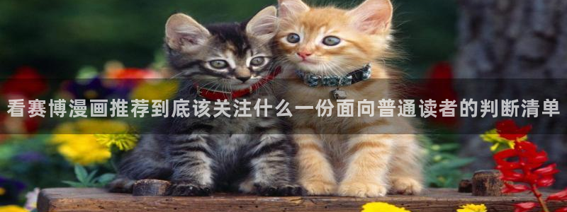 歪歪漫画漫画推荐：看赛博漫画推荐到底该关注什么一份面向普通读者的判断清单