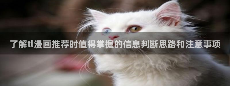 七七漫画最新网站入口:了解tl漫画推荐时值得掌握的信息判断思路和注意事项
